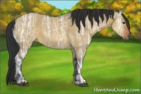 Horse Color:Brown Ice Dun