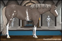 Horse Color:White Spotted Silver Black