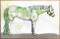 Horse Color:Watercolor Plaid  White Spotted Chocolate Palomino Dun Tobiano 