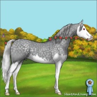Horse Color:Silver Grullo Chinchilla Sabino Splash