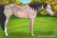 Horse Color:Bay Ice 