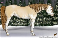 Horse Color:White Spotted Brown Pearl Dun Splash 