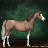 Horse Color:Black Pearl Splash 