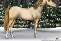 Horse Color:Red Dun Pearl 