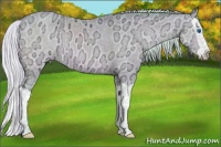 Horse Color:Watercolor Chocolate Silver Buckskin Ice Splash 