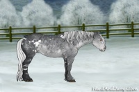 Horse Color:White Spotted Silver Black Chinchilla 