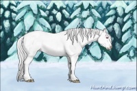 Horse Color:Silver Bay Chinchilla Dun Sabino Tobiano Rabicano 