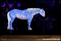 Horse Color:Watercolor White Spotted Silver Black Chinchilla Sabino 