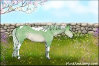 Horse Color:Watercolor Silver Brown Chinchilla Dun Tobiano 