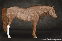 Horse Color:Chestnut Ice Rabicano 