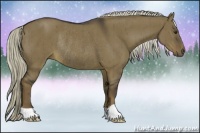 Horse Color:Liver Red Dun Rabicano Brindle 