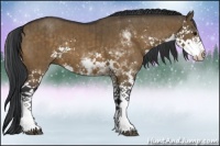 Horse Color:Brown Dun Sabino Brindle