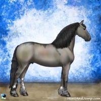 Horse Color:Grullo Mushroom Sabino Rabicano