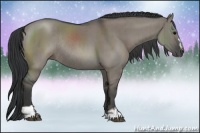 Horse Color:Grullo Sabino Rabicano Brindle