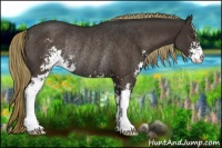 Horse Color:Liver Chestnut Sabino Rabicano 