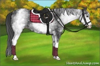 Horse Color:White Spotted Black 