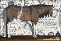 Horse Color:White Spotted Brown Dun Splash