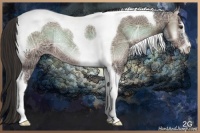 Horse Color:Liver Red Onyx Ice Sabino Tobiano Rabicano