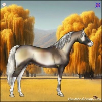 Horse Color:Liver Red Onyx Mushroom 
