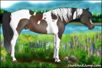 Horse Color:Brown Tobiano Varnish 