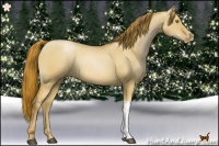 Horse Color:Red Dun Pearl 