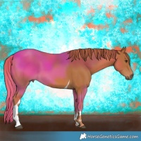 Horse Color:Chestnut Tobiano