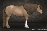 Horse Color:Black Pearl 