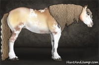 Horse Color:Liver Red Onyx Pearl Sabino Rabicano