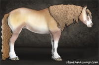 Horse Color:Red Onyx Pearl Sabino Rabicano