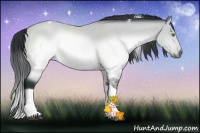 Horse Color:Brown Chinchilla Sabino Tobiano Rabicano 