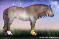 Horse Color:Nacre Chocolate Brown Chinchilla Rabicano 