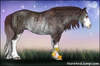 Horse Color:Chocolate Brown Chinchilla Ice Sabino Rabicano 