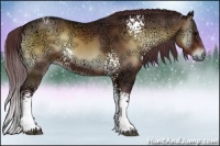 Horse Color:White Spotted Chocolate Brown Ice Onyx 