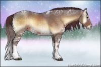 Horse Color:Chocolate Brown Ice Onyx