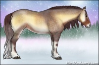 Horse Color:Chocolate Brown Roan Onyx 