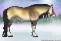 Horse Color:Brown Onyx Sabino