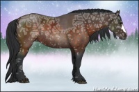 Horse Color:Brown Ice Rabicano 