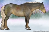 Horse Color:Liver Chestnut Rabicano 