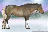 Horse Color:Liver Chestnut Rabicano 