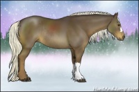 Horse Color:Liver Chestnut Rabicano