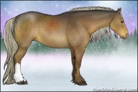 Horse Color:Liver Chestnut Rabicano