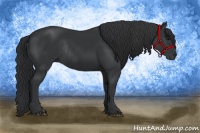Horse Color:Black Rabicano 