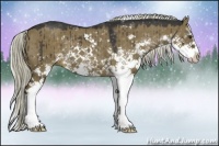 Horse Color:Liver Red Dun Sabino Rabicano