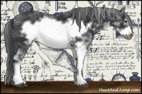 Horse Color:Black Sabino Frame 