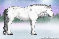 Horse Color:Brown Ice Onyx Sabino 