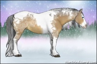 Horse Color:Bay Ice Dun Sabino Splash Tobiano Rabicano