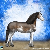 Horse Color:White Spotted Liver Chestnut 