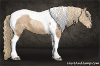 Horse Color:Liver Chestnut Ice Pearl Tobiano 