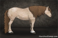 Horse Color:Black Ice Pearl