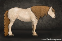 Horse Color:Chestnut Ice Pearl 
